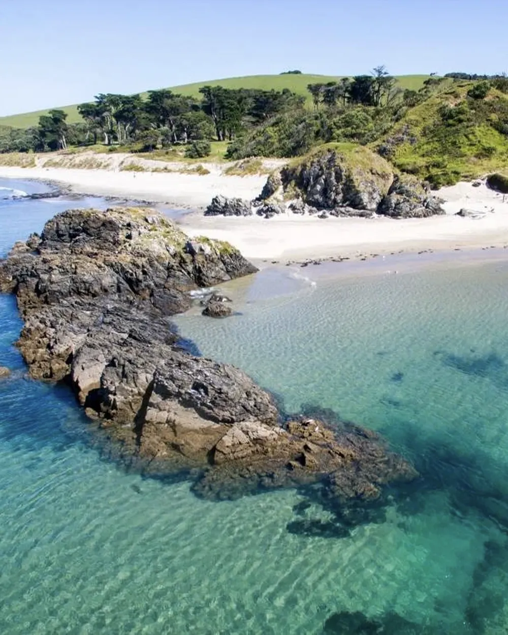 Tawharanui Regional Park
